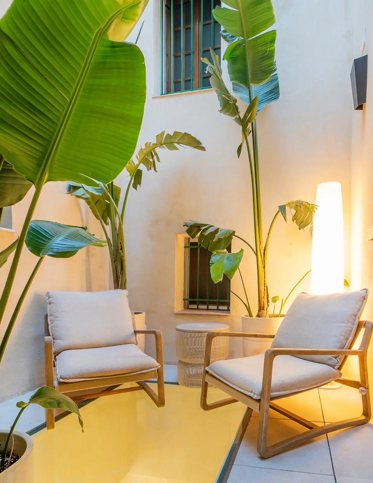 Rincón de lectura con plantas y luz natural
